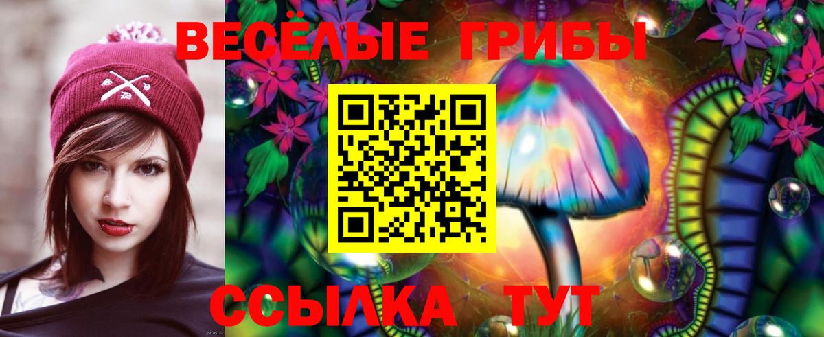 Псилоцибиновые грибы Psilocybe  Вход с VPN  Лениногорск  Псилоцибиновые грибы Psilocybine cubensis 